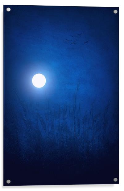 SKY BLUE Acrylic by Tom York
