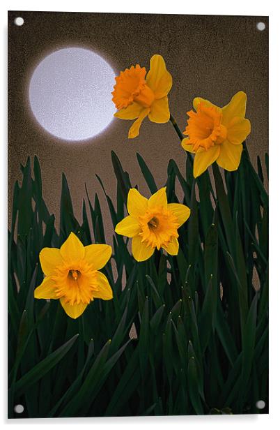 IT MUST BE SPRING Acrylic by Tom York