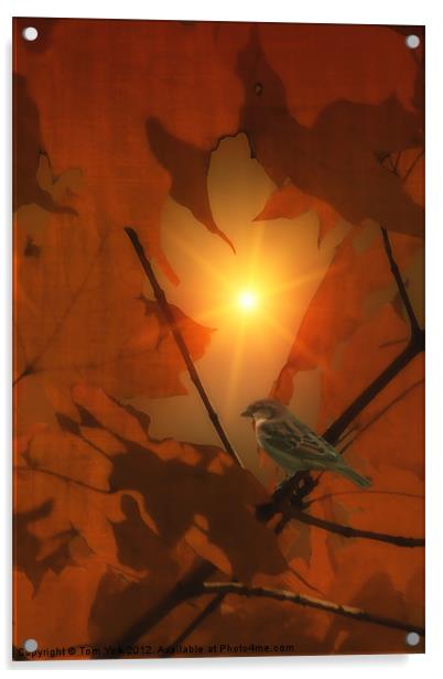 SPARROW IN THE LEAVES Acrylic by Tom York