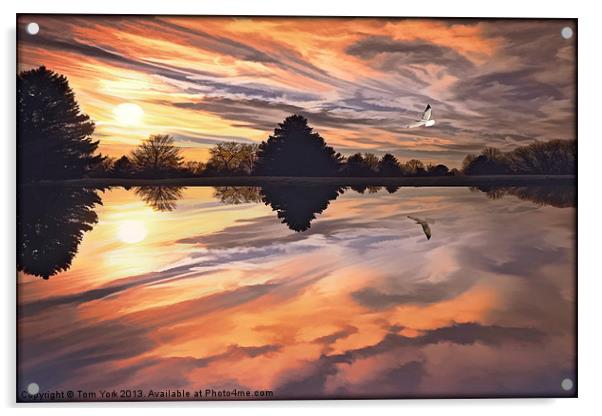 SUNSET IN AUTUMN Acrylic by Tom York