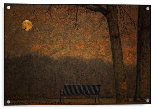 A PARK BENCH Acrylic by Tom York