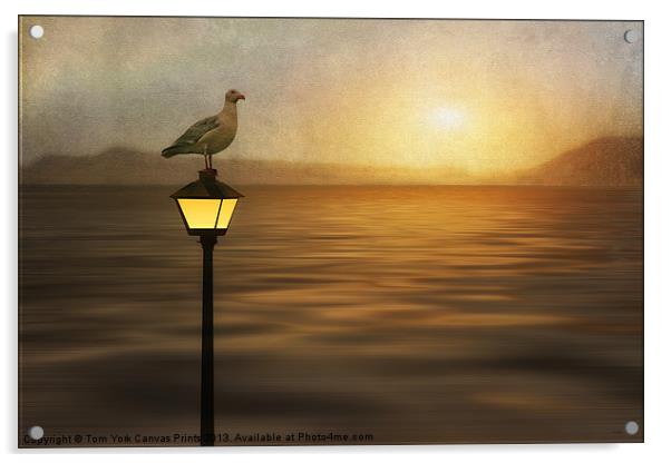 AMBER SUNSET Acrylic by Tom York