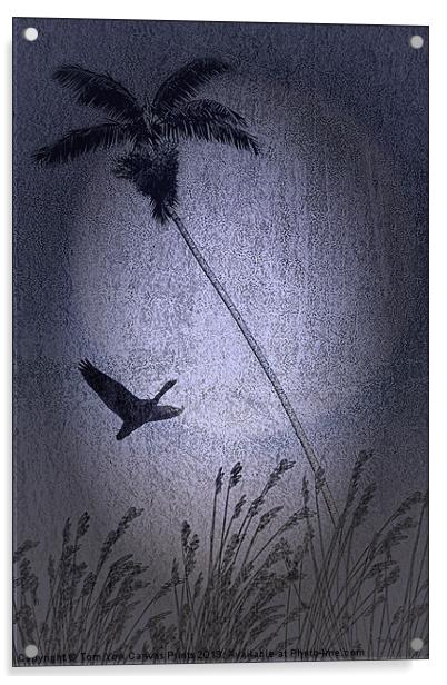 AMONG THE PALMS Acrylic by Tom York