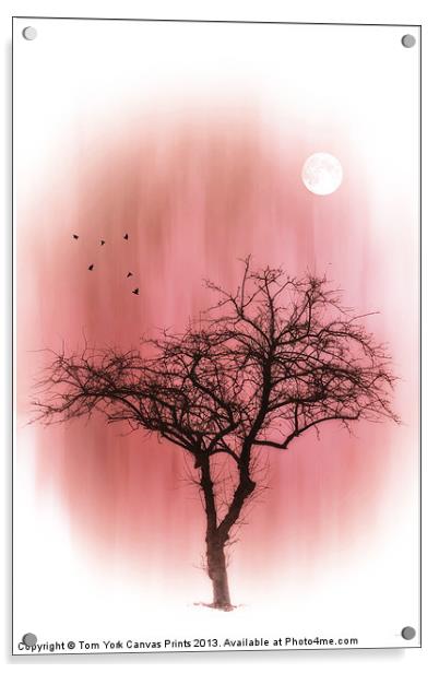 A TREE IN PINK Acrylic by Tom York