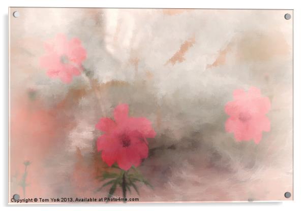PINK FLORAL ABSTRACT Acrylic by Tom York