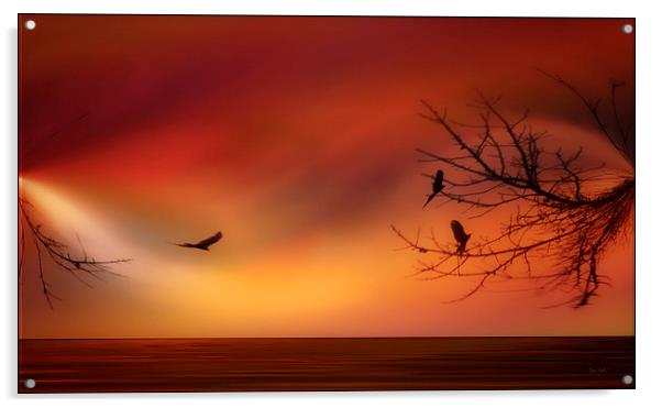 SKY FLIGHT Acrylic by Tom York