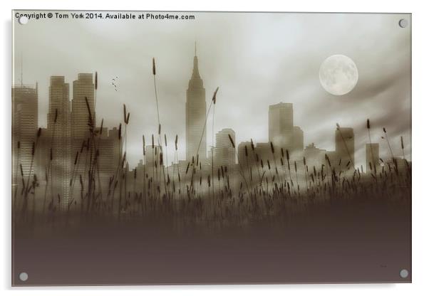 New York In The Fog Acrylic by Tom York