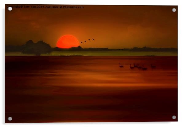 Orange Sunset Acrylic by Tom York