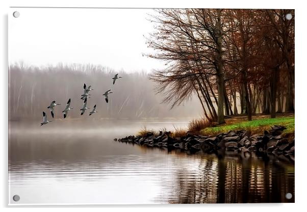 Fog On The Lake Acrylic by Tom York