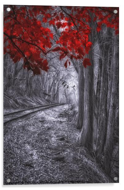Tracks Through The Forest Acrylic by Tom York