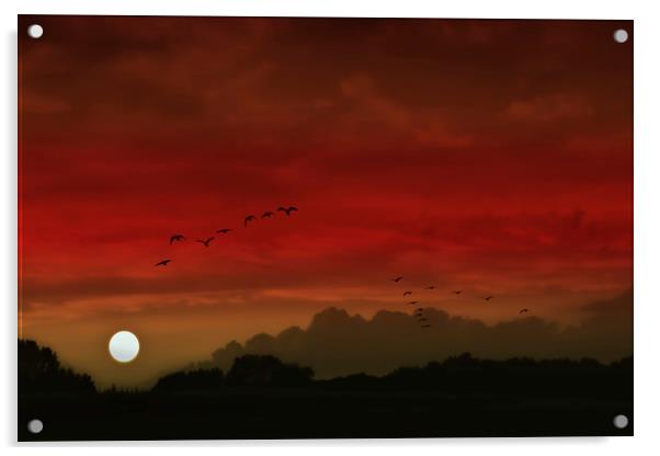 Into A Scarlet Sky Acrylic by Tom York