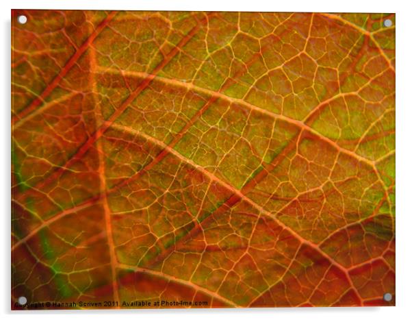 Leafy layers Acrylic by Hannah Scriven
