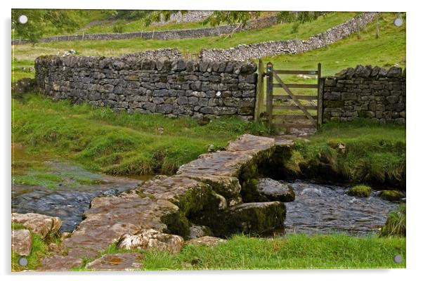 Near Malham Cove Acrylic by Geoff Storey