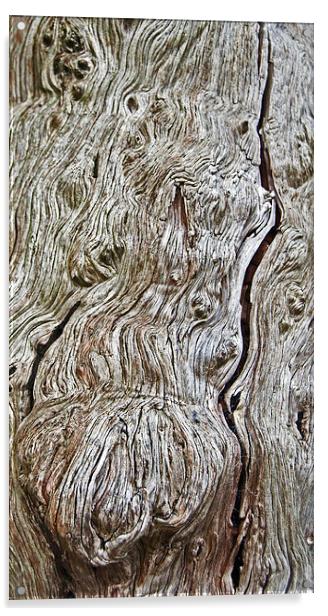 Yew Bark Acrylic by Geoff Storey