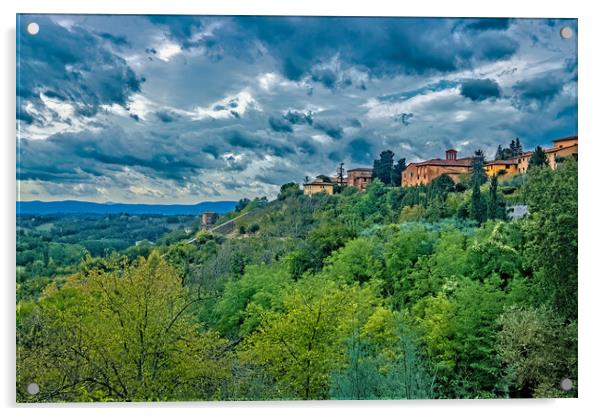 Siena, Italy Acrylic by Joyce Storey