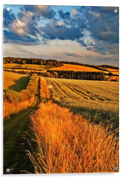 Path down to Ipsden in Oxfordshire Acrylic by Joyce Storey