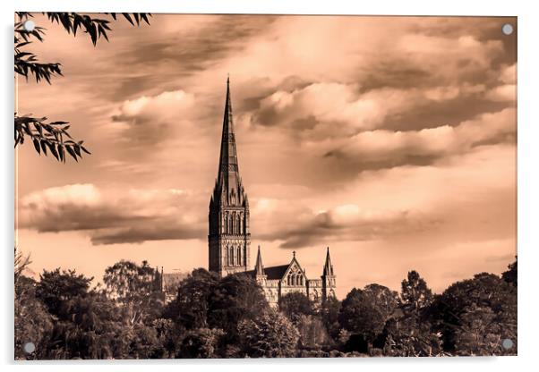 Salisbury Cathedral (Sepia) Acrylic by Joyce Storey