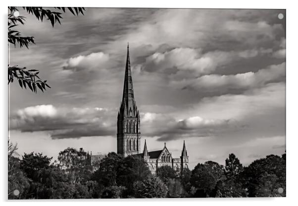 Salisbury Cathedral (Mono) Acrylic by Joyce Storey