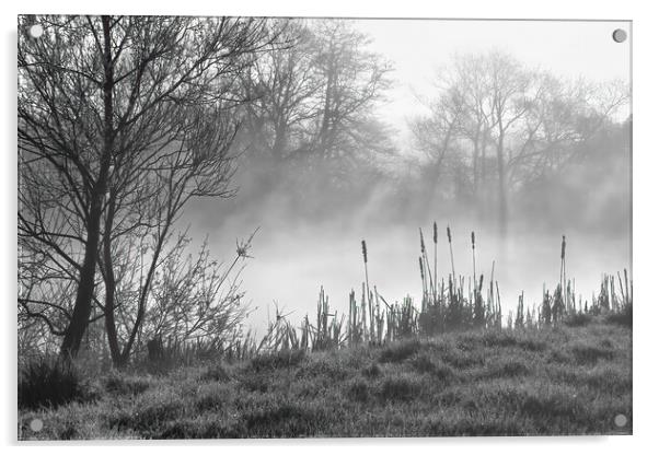 Peaceful misty morning Acrylic by Joyce Storey