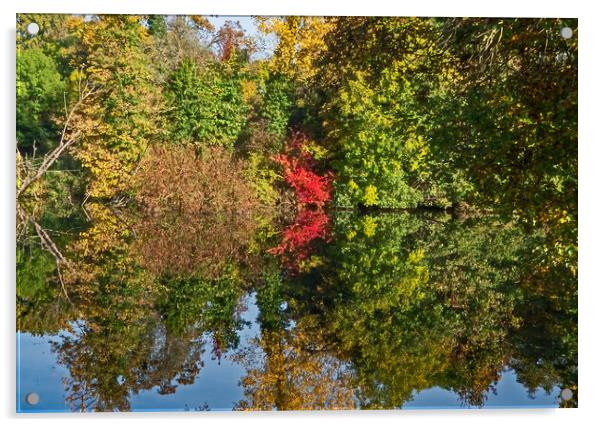 Autumn Reflections Acrylic by Joyce Storey