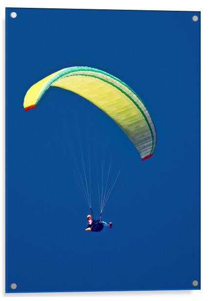 Paraglider in Lanzarote Acrylic by Joyce Storey