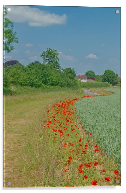 Peaceful Poppy Footpath  Acrylic by Joyce Storey