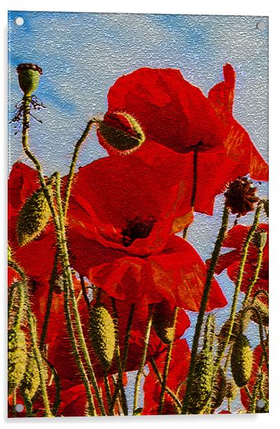 Poppies (1 of 3) Acrylic by Joyce Storey