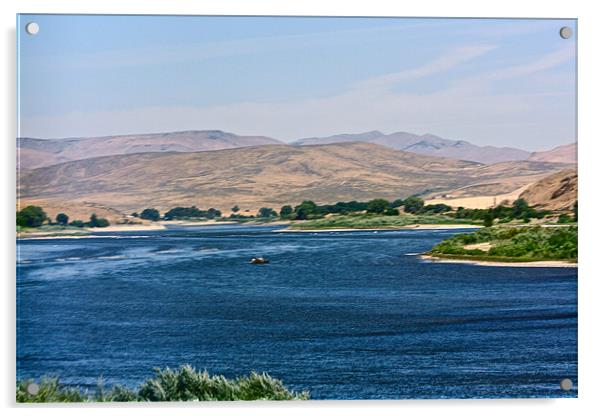 The Snake River. Acrylic by Irina Walker