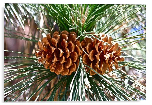 The Pine Cones Acrylic by Irina Walker