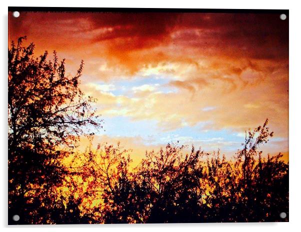  Sunset Acrylic by Irina Walker