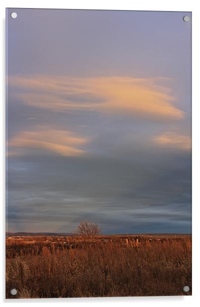 Sunrise Over The Ranch Acrylic by Irina Walker