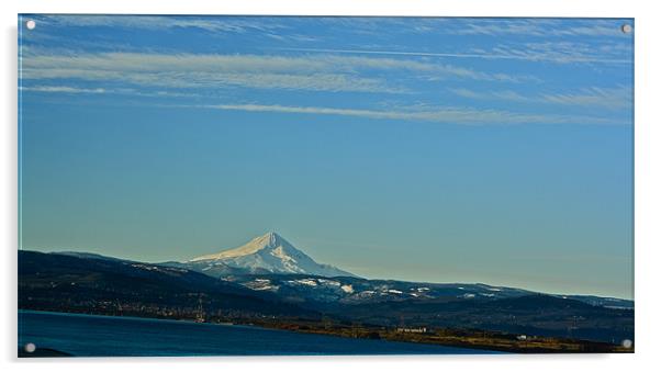 Mount Hood Acrylic by Irina Walker