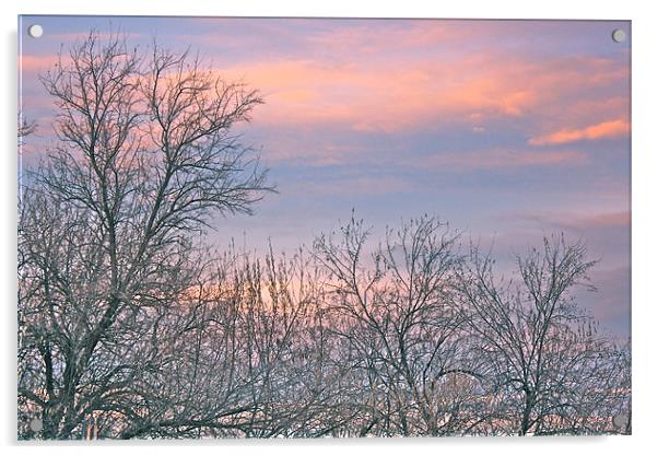 Morning sunrise Acrylic by Irina Walker