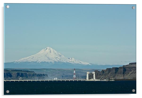 Mount Hood Acrylic by Irina Walker