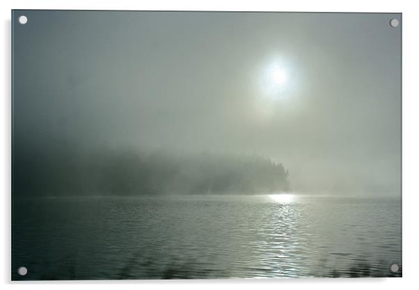 Misty Morning On the Umpqua River Acrylic by Irina Walker
