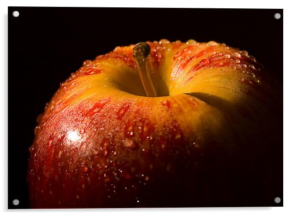 An Apple a day Acrylic by Steven Shea