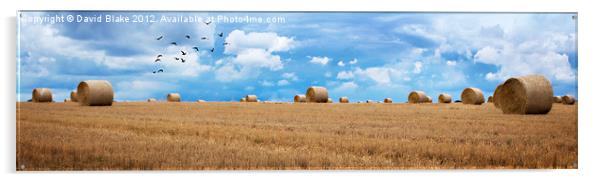 Harvest Time Acrylic by David Blake