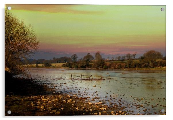 Muddy River Acrylic by Brian Beckett