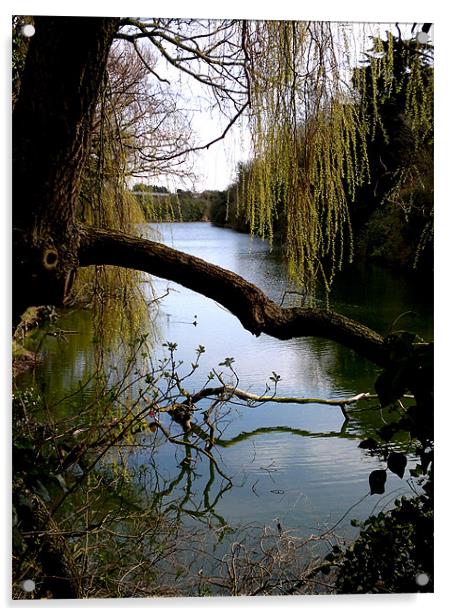 Hilsea Moat Acrylic by John Black