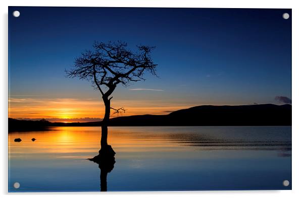  Lone Tree in  Loch Lomond Acrylic by Paul Appleby