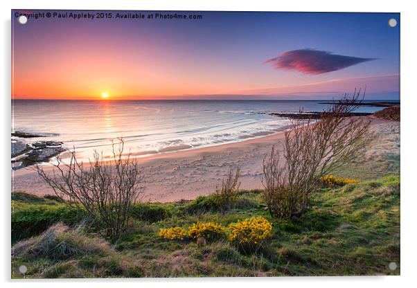  Sugar Sands Northumberland Acrylic by Paul Appleby