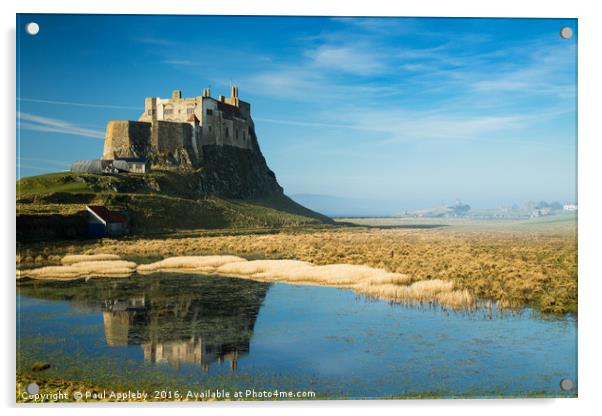Lindisfarne Castle Acrylic by Paul Appleby