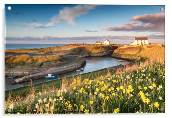 Seaton Sluice in the Spring Acrylic by Paul Appleby
