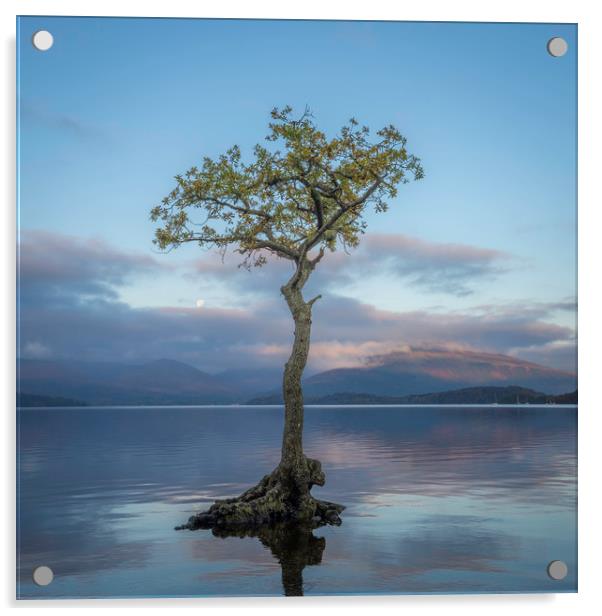 Loch Lomond, Milarrochy Bay Acrylic by Paul Appleby
