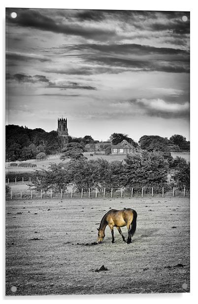 Church Horse Acrylic by Paul Appleby