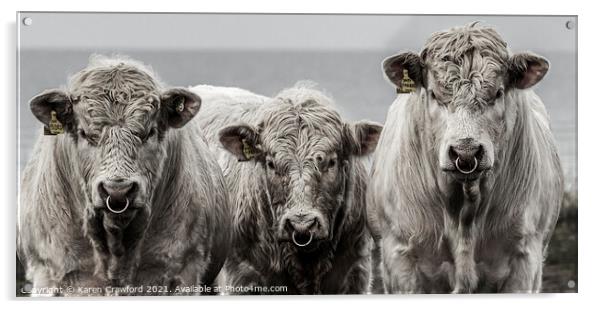 Three Cows Acrylic by Karen Crawford