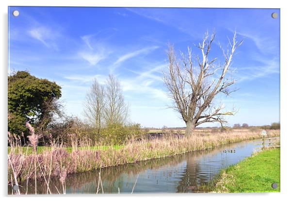 Fenland Scene - A view of a fen lode Acrylic by Terry Pearce