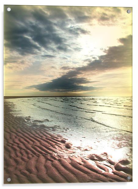 Desolate Beach Acrylic by Darrin miller