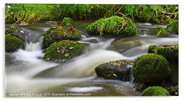flowing mossy stream Acrylic by Craig Coleran