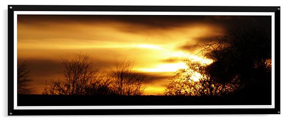 Radiant sunset Acrylic by Craig Coleran